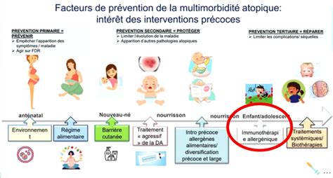 Pr Vention Des Allergies Merckx P Diatrie