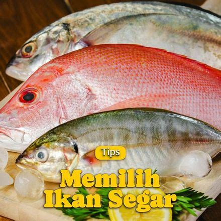 Resep TIPS Memilih Ikan Segar | Endeus.TV