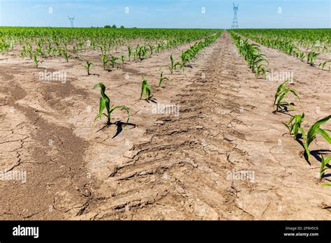 Compactaci N Del Suelo Fotograf As E Im Genes De Alta Resoluci N Alamy