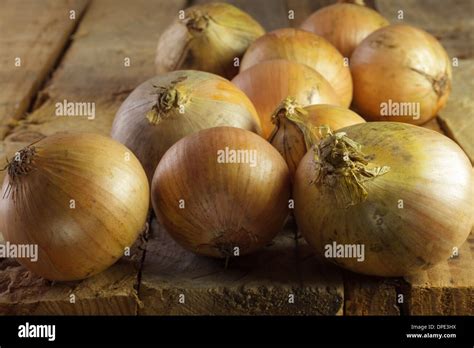 Healthy Foods Onions Hi Res Stock Photography And Images Alamy