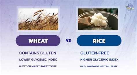 Wheat vs. Rice: The Differences You Need to Know