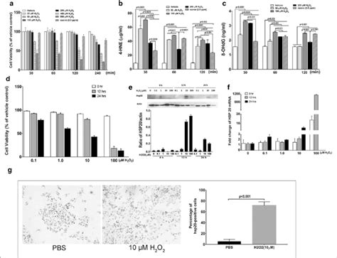 The Comparable Effects Of Ozone And H 2 O 2 And The Induced Expression