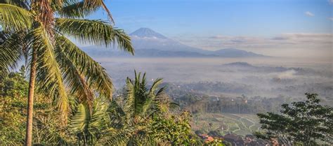 Villa Borobudur Resort - Villa Borobudur Resort