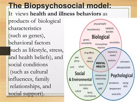 Biopsychosocial Models Ppt