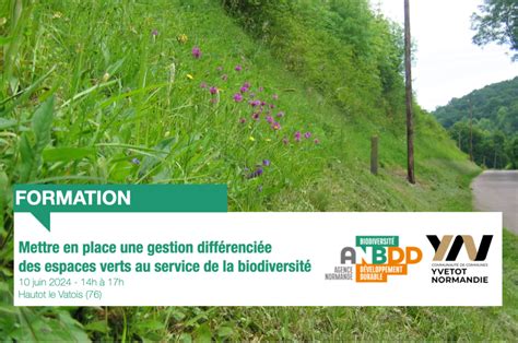 Formation Mettre en place une gestion différenciée des espaces verts