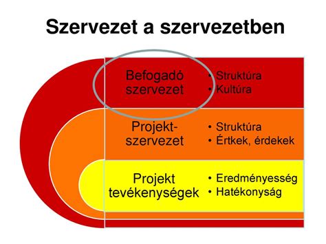 Projektmenedzsment A Projektmenedzsment Alapfogalmai Ppt Let Lteni