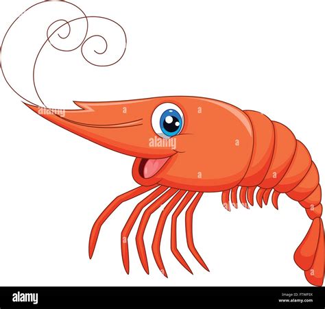 Cute Dibujos Animados De Camarones Imagen Vector De Stock Alamy