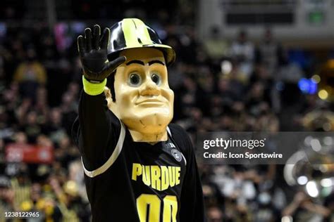 purdue pete   premium high res pictures getty images