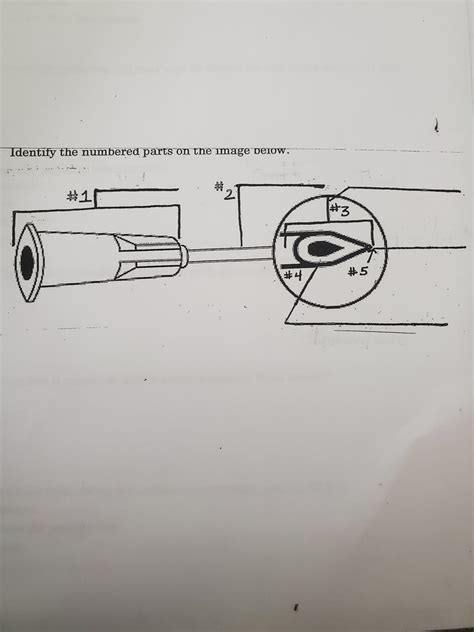 Chpt Blood Specimen Collection Diagram Quizlet