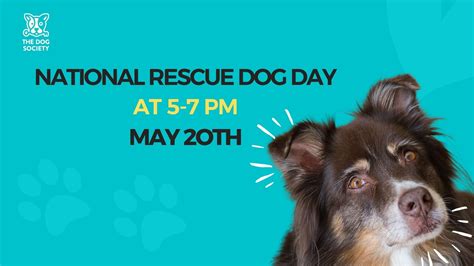 National Rescue Dog Day San Diego Magazine