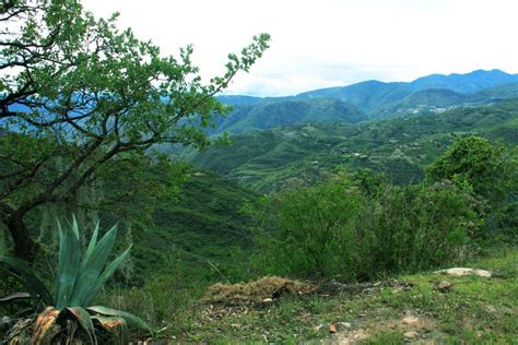 Senderismo Por La Sierra Norte De Oaxaca Civitatis