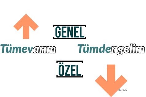 Felsefi Düşünme Yöntemleri Akıl Yürütme Türleri DMY Felsefe