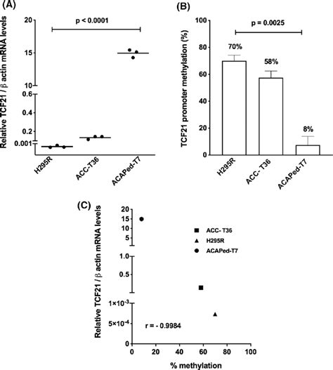 Tcf21 Expression And Promotor Methylation A Relative Tcf21 Expression