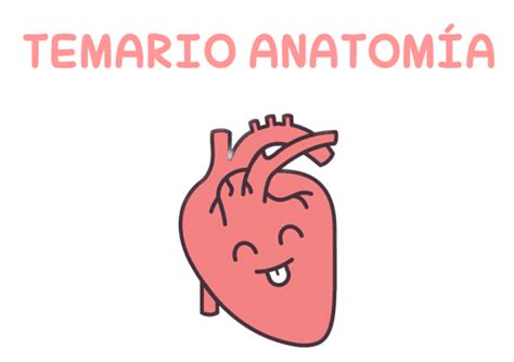 Temario Anatomia Pdf