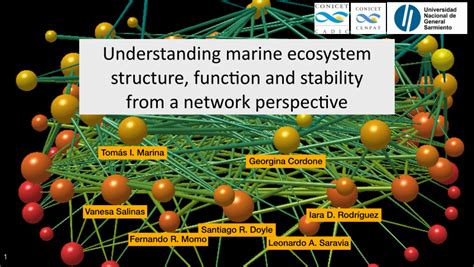 Pdf Understanding Marine Ecosystem Structure Function And Stability