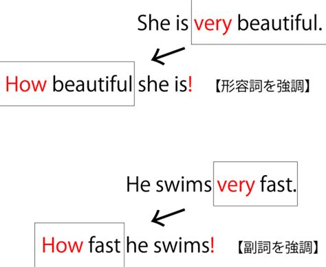 英語の感嘆文とは｜作り方からhowとwhatの違い・使い分けまで例文付きで解説 高校英文法の羅針盤