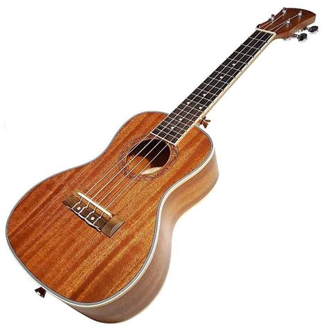 ukulele brands reviews  beginners   express