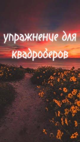 упражнения для квадроберов #квадробика #quadrobics #quads #квд # ...