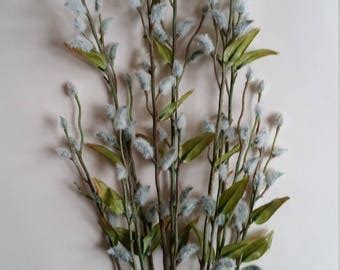 Pussy Willow Branch Etsy