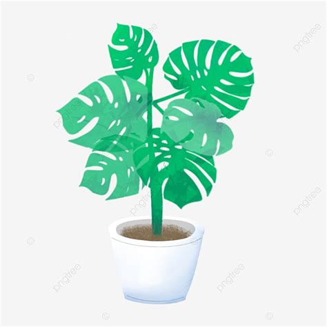 Plantas En Macetas PNG Plantas Verdes Planta Plantas En Macetas PNG