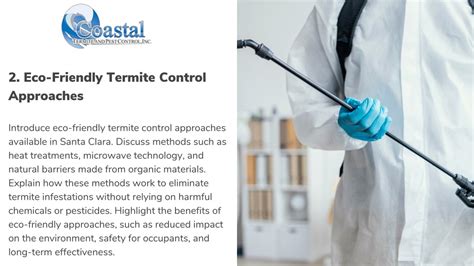 Ppt Termite Control Methods Traditional Vs Eco Friendly Approaches