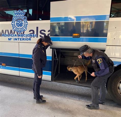 Detenida en la estación de autobuses de Alicante una mujer con más de 6