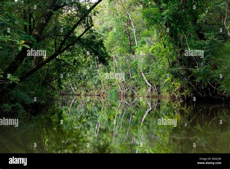 Masoala National Park Landscape Madagascar Stock Photo Alamy