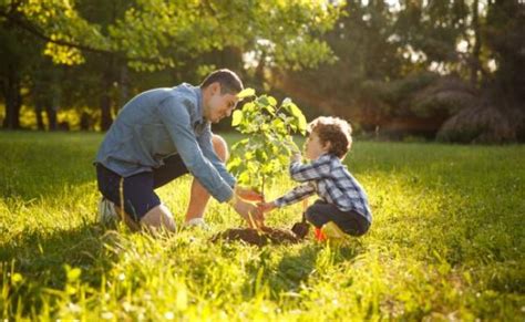 Importancia De La Reforestacion Y El Medio Ambiente Otosection