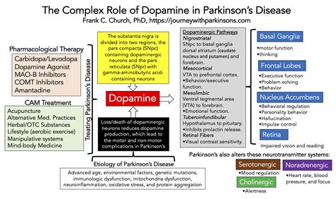 The Complex Role of Neurotransmitters in Parkinson’s – Journey with ...