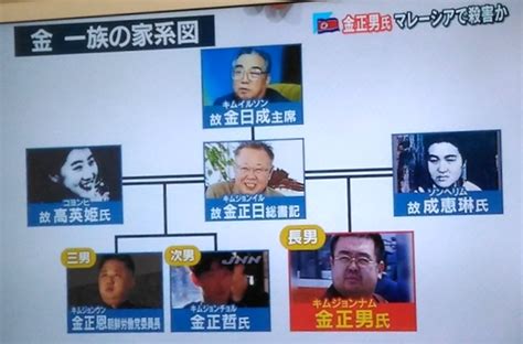 金正恩が兄の金正男を暗殺？女性2人が使った毒針はボールペン型？ Matomany