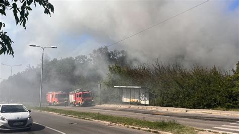 Sektor za vanredne situacije Od 15 juna do 15 jula ugašeno 1 245