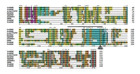 Alignment Of Deduced Amino Acid Sequences Of Gprps In Diverse Plants