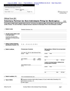 Fillable Online Official Form 201 Voluntary Petition For Non