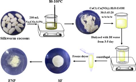 Silk Fibroin Extraction And Fibroin Micro Nanoparticles Formulation