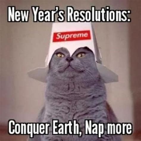 These Cats Are All Ready For 2020 (New Year's Resolutions Memes ...