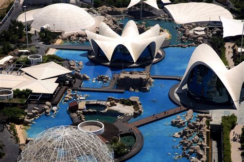 Oceanogràfic Ciudad De Las Artes Y Las Ciencias Valencia Caces