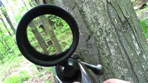 Chipmunk Hunting With Scope Cam Kill Youtube