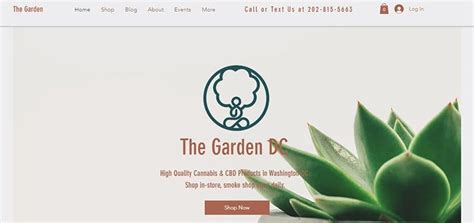 29 Best Green Website Design Ideas & Examples of 2024