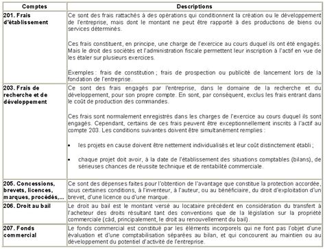 Les Achats D Immobilisations Incorporelles Et Corporelles