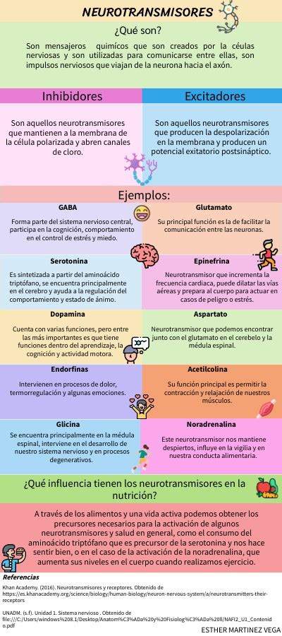 Infografía Neurotransmisores