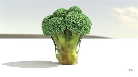 Broccoli Plant 3d Model Cgtrader