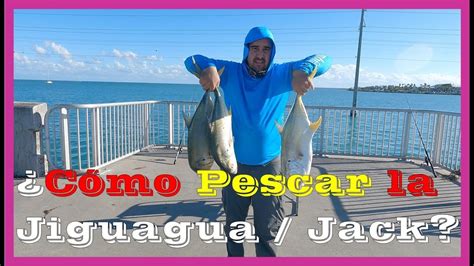 La Pesca M S Salvaje De Florida Jack Crevalle O Jiguagua Youtube