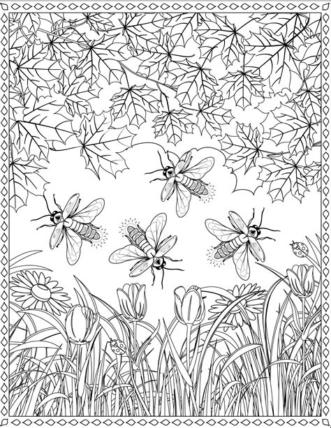 Free Printable Firefly Coloring Pages