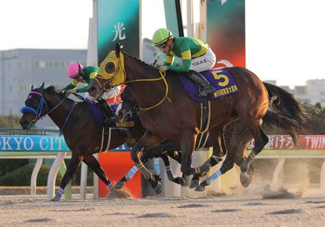 サウジカップで日本馬頂上決戦へ ウシュバテソーロが参戦の意向レモンポップと初対戦も Umatoku 馬トク