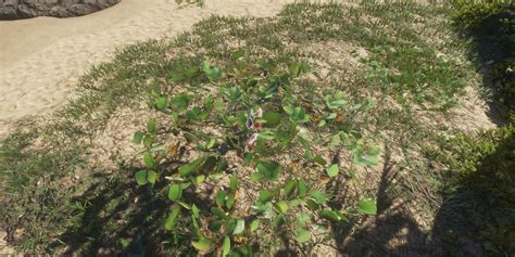 How To Farm In Stranded Deep