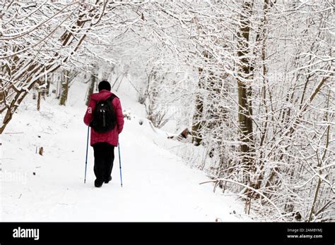 Nordic Walking In Winter Woman With Backpack And Sticks In The Park