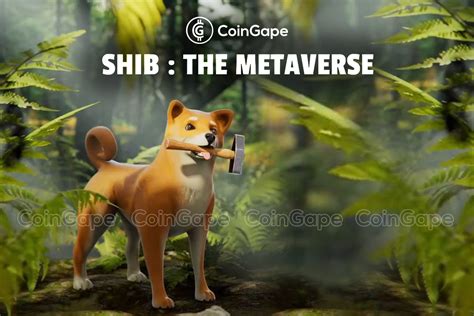 Comment Obtenir Le M Taverse Shiba Inu Tech Tribune France