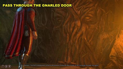 How To Get Through The Gnarled Door In Baldurs Gate Gamerpillar