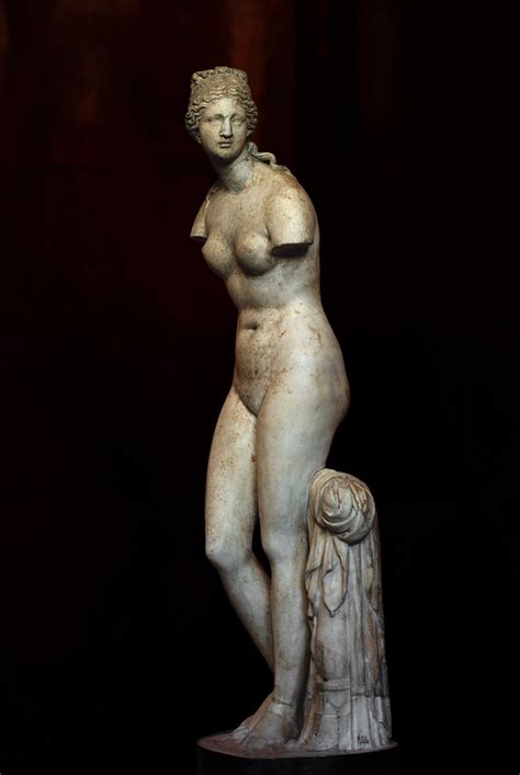 Aphrodite Venus Tauride Saint Petersburg State Hermitage Museum