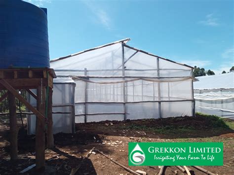 Affordable Greenhouses In Kenya 0792135259 Grekkon Limited